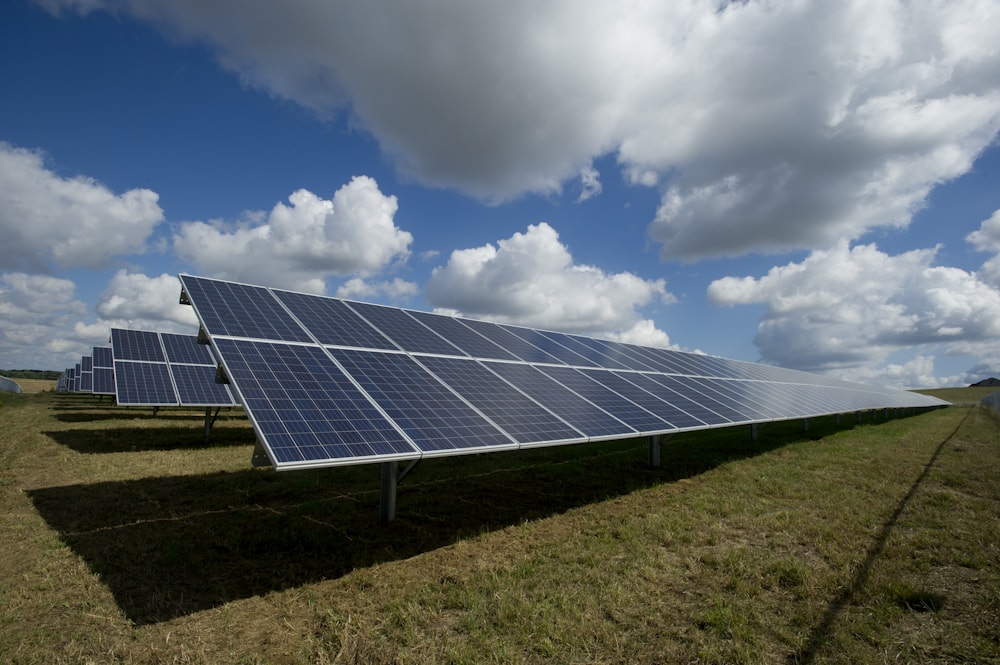 Large solar farm at sunrise